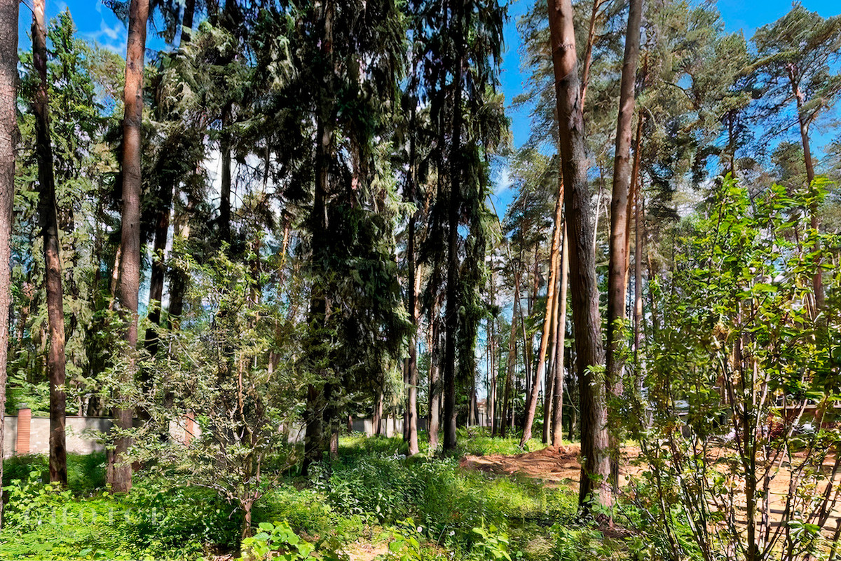 НПИЗ Барвиха