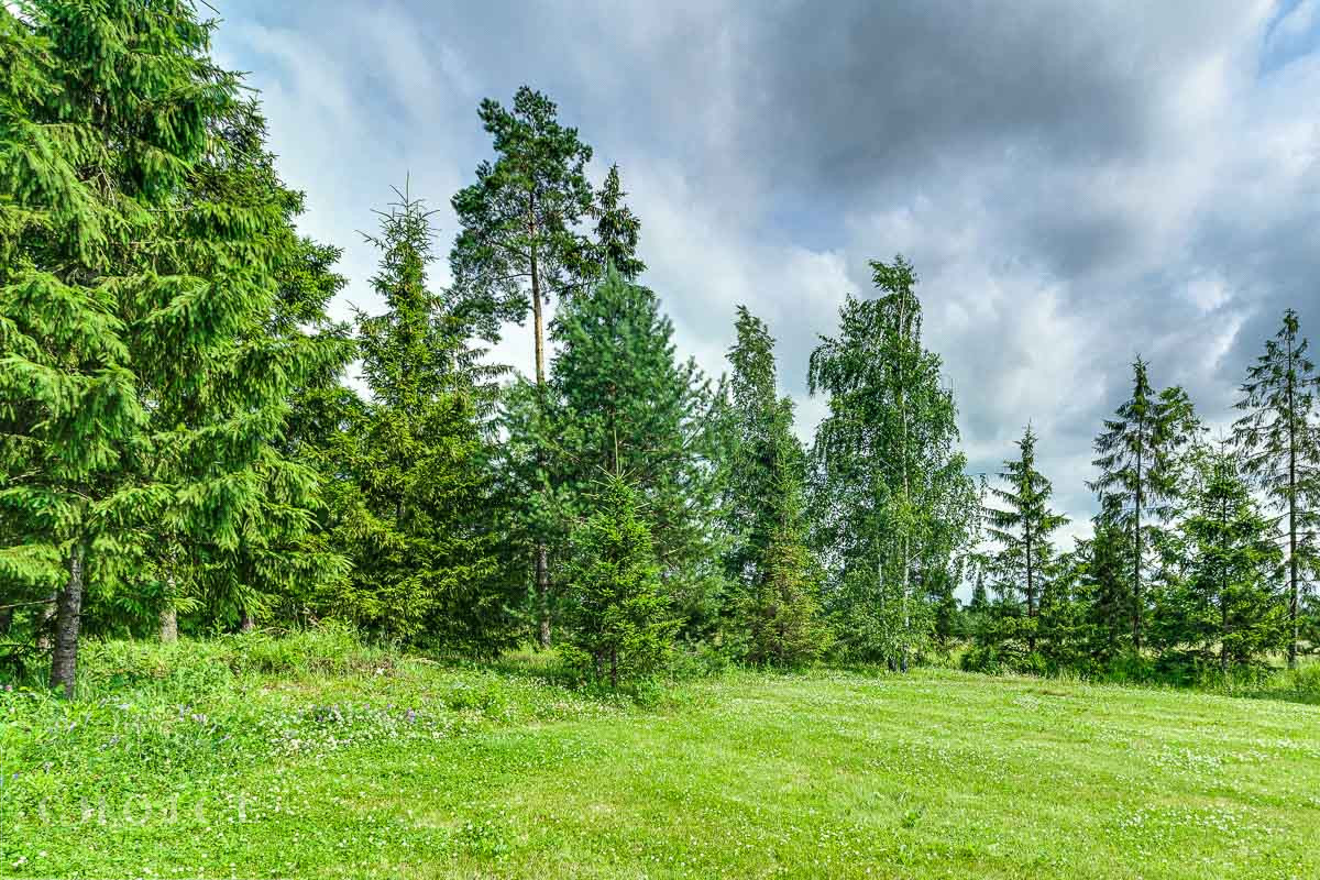 Усадьба Подушкинского Лесопарка