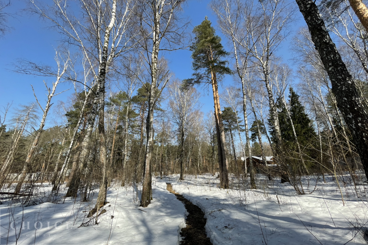 Павловский Лес