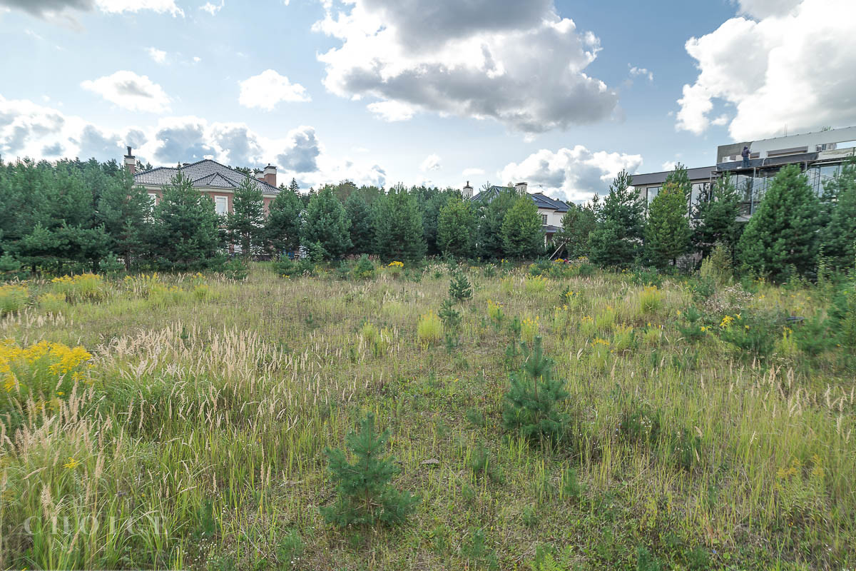 Ренессанс парк