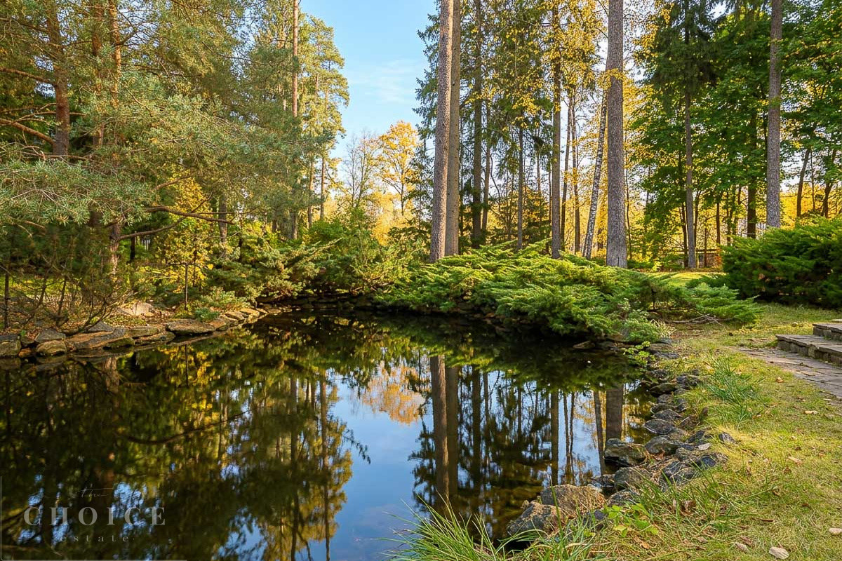 Николино