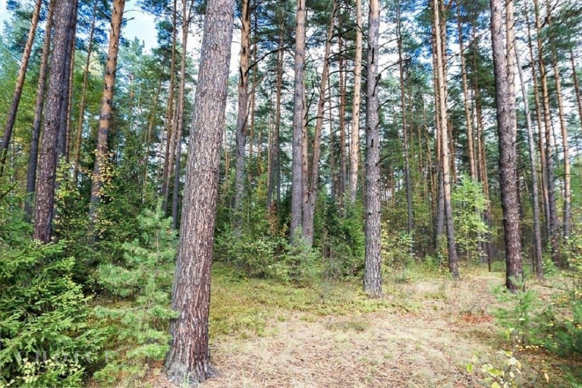 Бенилюкс