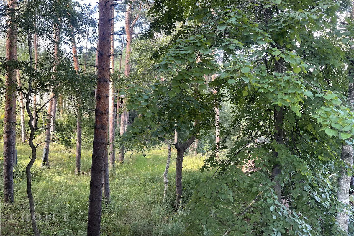 НПИЗ Барвиха
