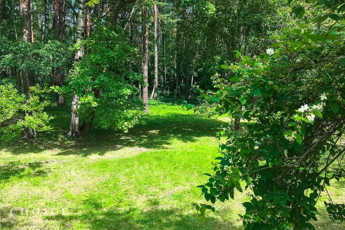 деревня Жуковка
