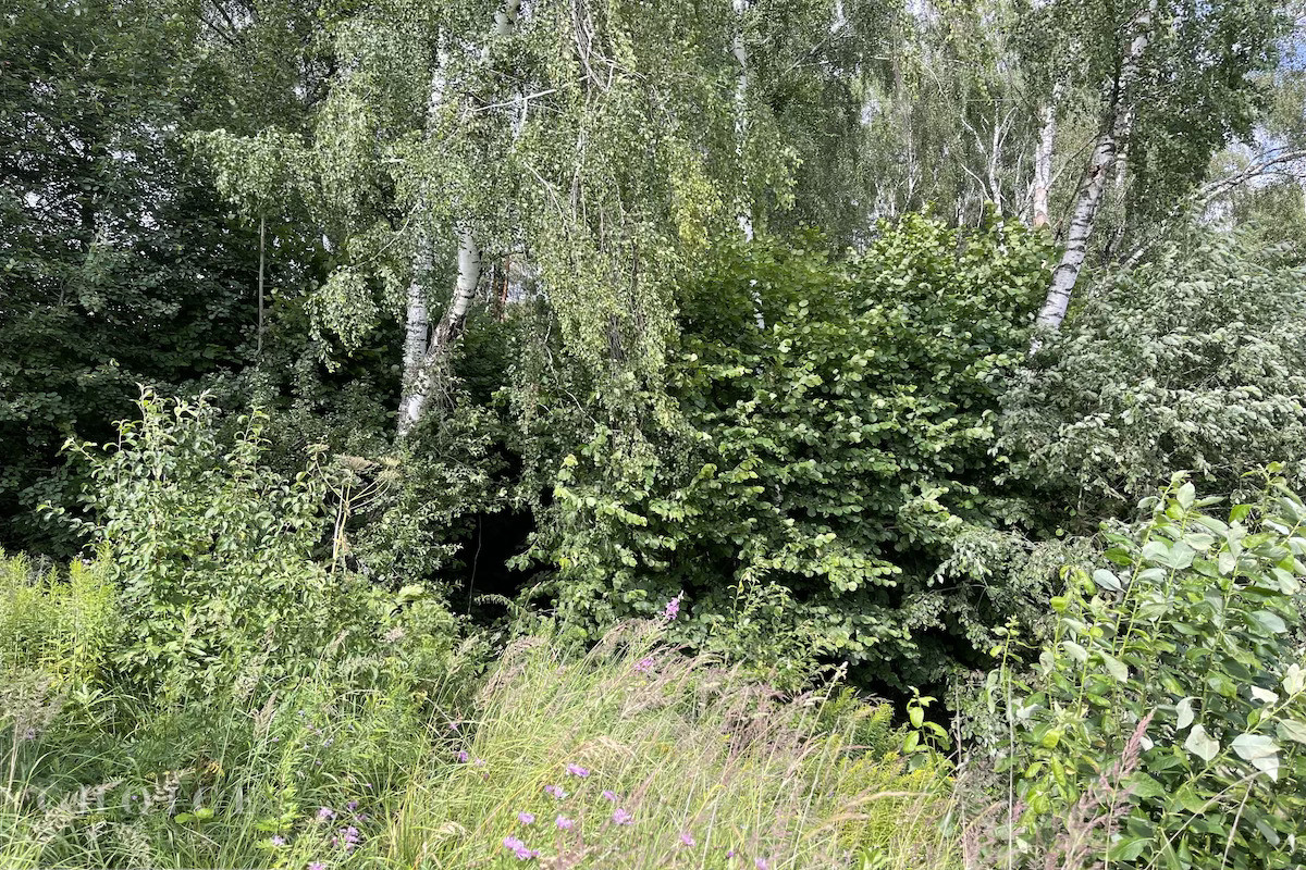 Солослово